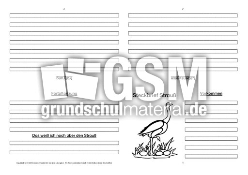 Strauß-Faltbuch-vierseitig.pdf